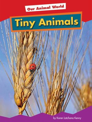 cover image of Tiny Animals